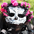 Photo Gallery of Mexico